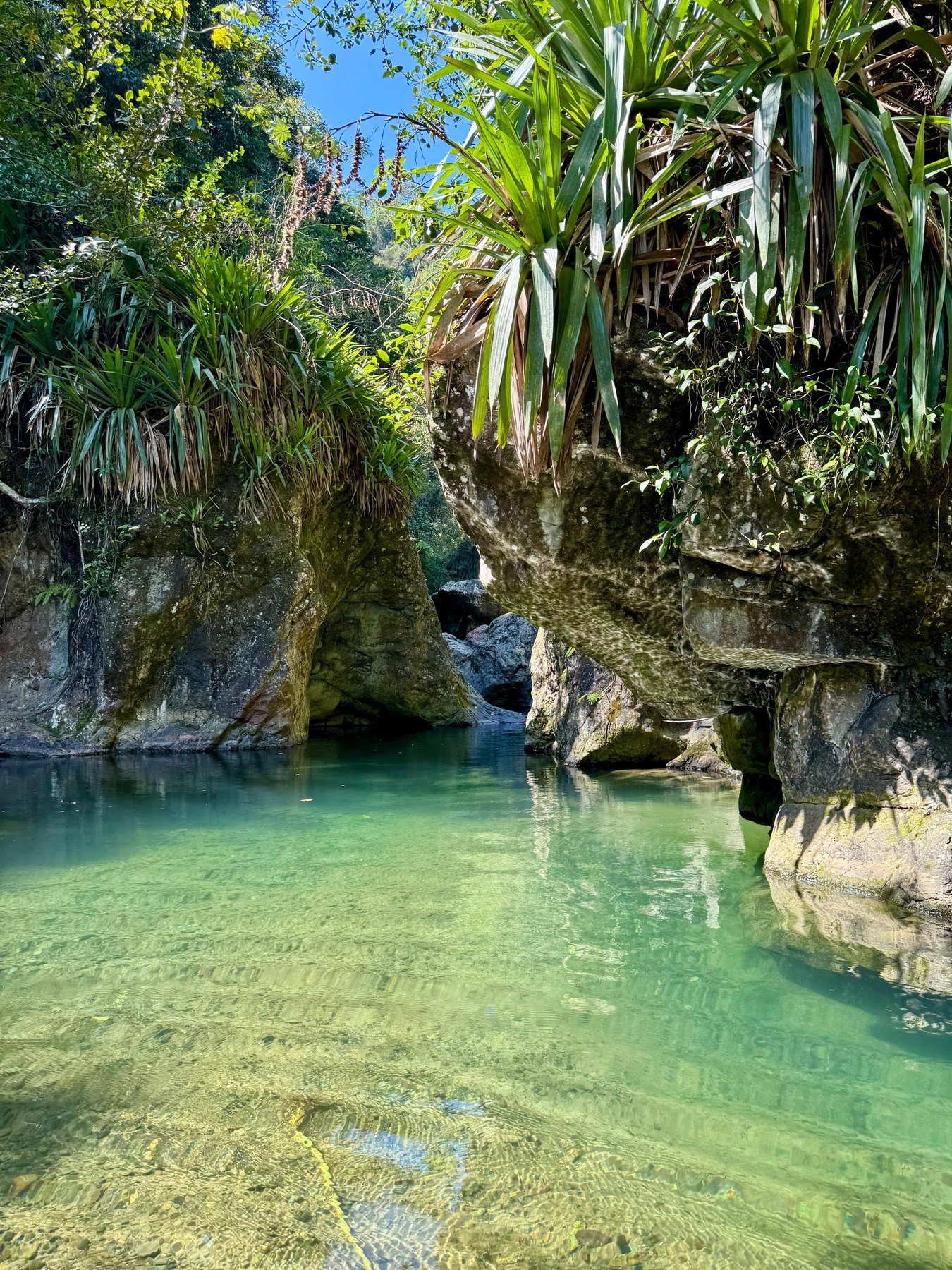 Charco Real